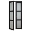 Renin Renin 24 in. x 80 1/2 in. Euro 3-Lite Design Pivot Door PV5402ESFGC024080